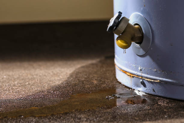  Point Pleasant, NJ Water damage restoration Pros