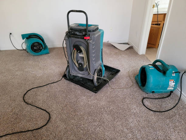 Best Flood damage cleanup  in Point Pleasant, NJ