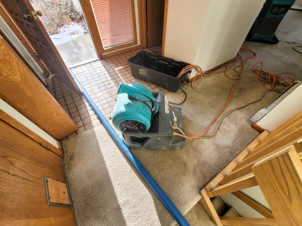 Best Fire Damage Restoration  in Point Pleasant, NJ