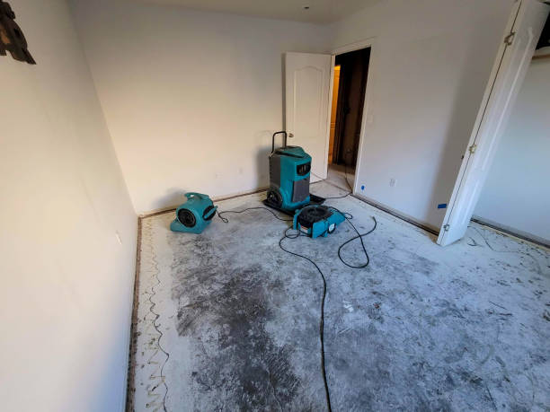 Best Professional water damage repair  in Point Pleasant, NJ