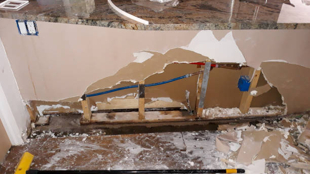 Best Water damage contractors near me  in Point Pleasant, NJ