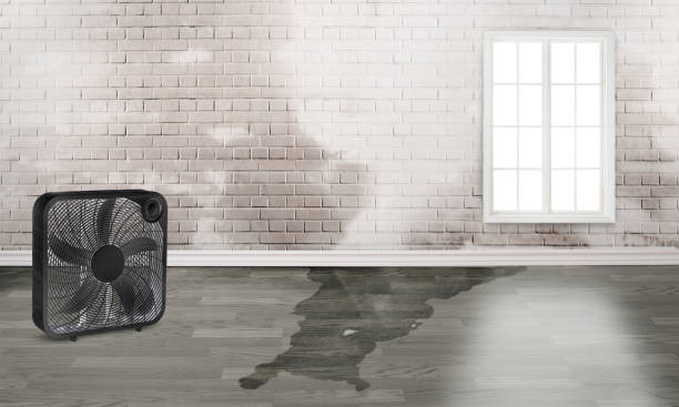 Best 24/7 water damage repair  in Point Pleasant, NJ