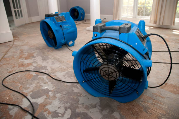 Best Water damage contractors near me  in Point Pleasant, NJ