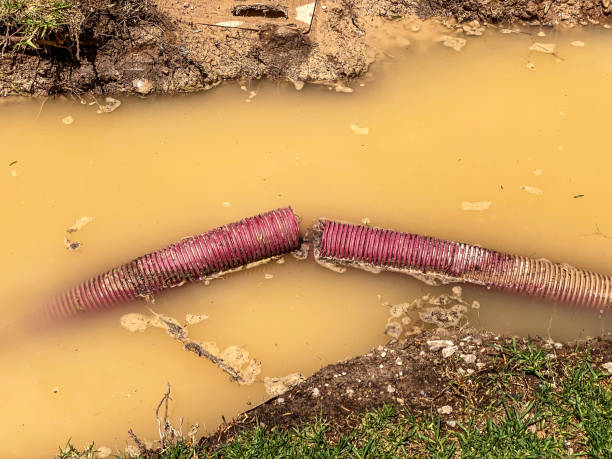 Best Professional water damage repair  in Point Pleasant, NJ