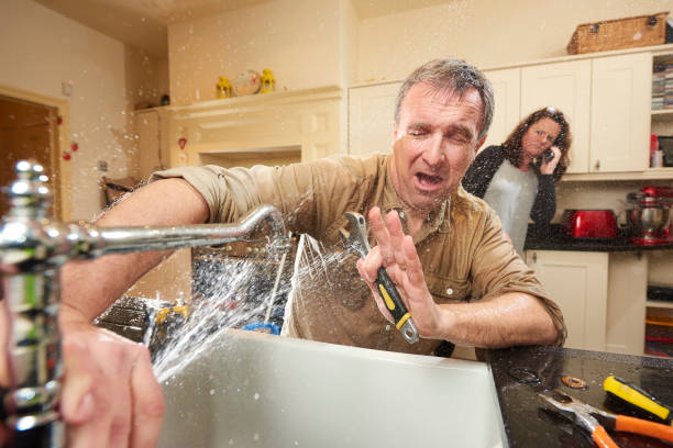Best Water damage cleanup near me  in Point Pleasant, NJ